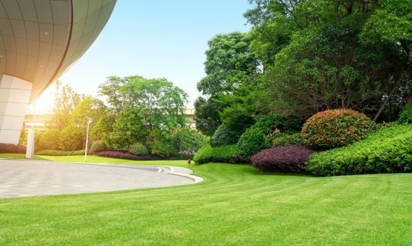Commercial Lawn Care in Lima