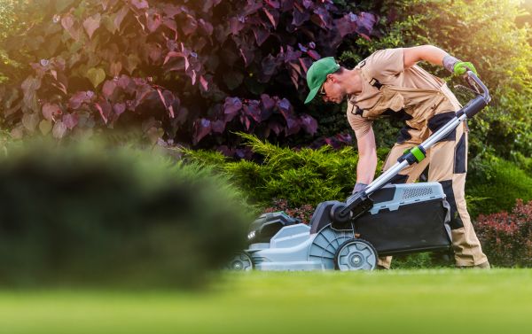 Lawn Care And Maintenance in Lima