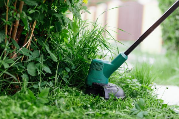 Weed Whacking in Lima