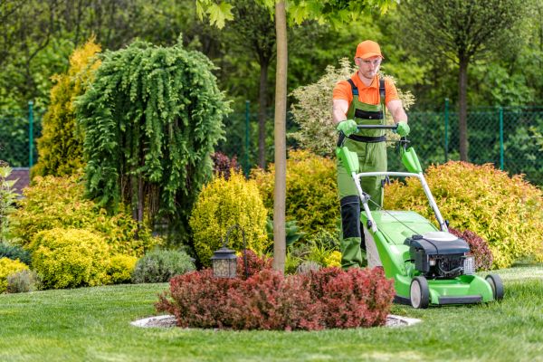 Yard Service in Lima