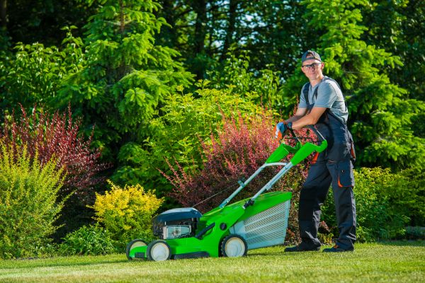 Yard Work Service in Lima