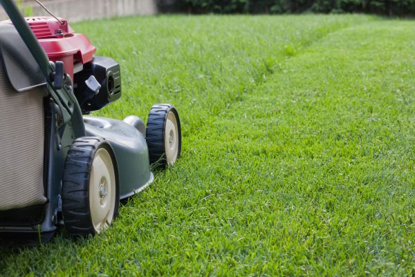 Residential Lawn Care in Lima