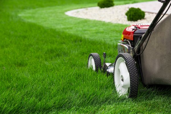 Yard Mowing in Lima