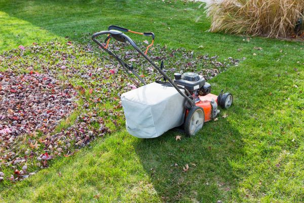 Seasonal Lawn Care in Lima