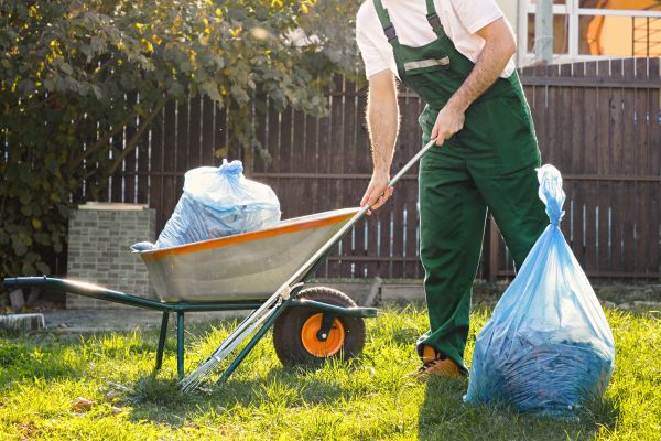 Yard Cleaning in Lima