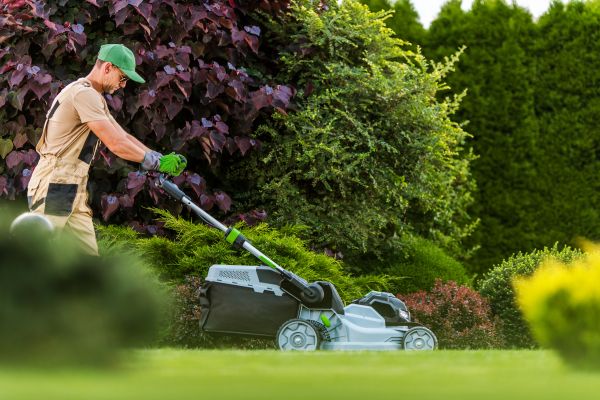 Lawn Management in Lima