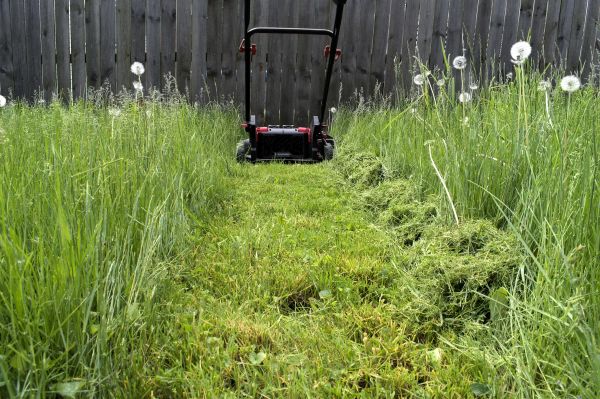 High Grass Mowing in Lima