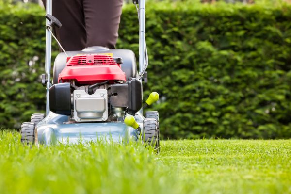 Grass Trimming Service in Lima