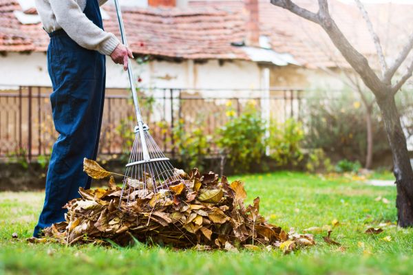 Routine Lawn Maintenance in Lima