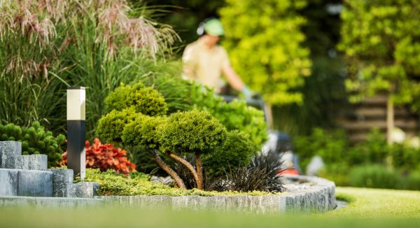 Residential Yard Maintenance in Lima