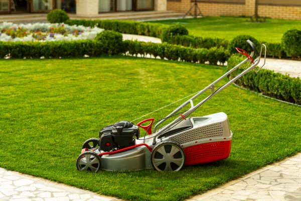 Business Grass Cutting in Lima