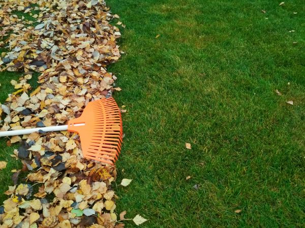 Fall Lawn Care in Lima