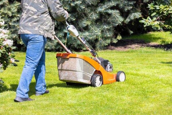 Springtime Lawn Care in Lima