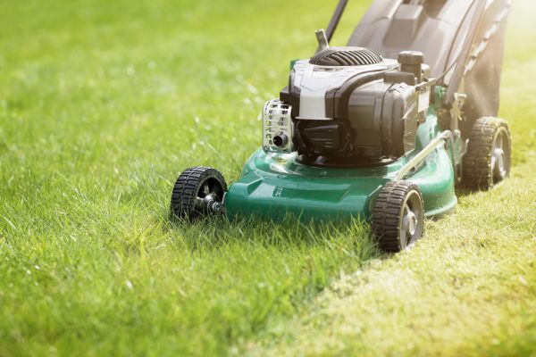 Spring Grass Trimming in Lima