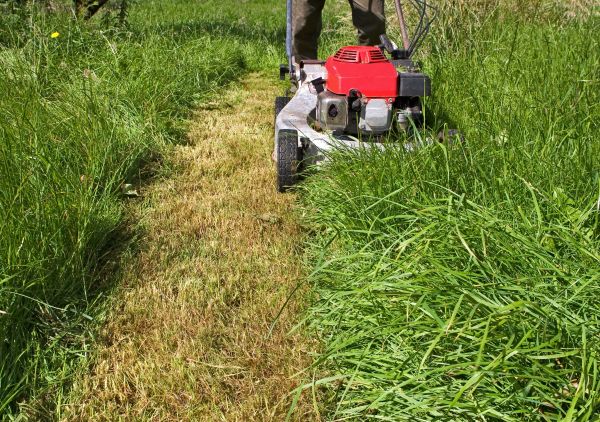 Leaf Mowing in Lima