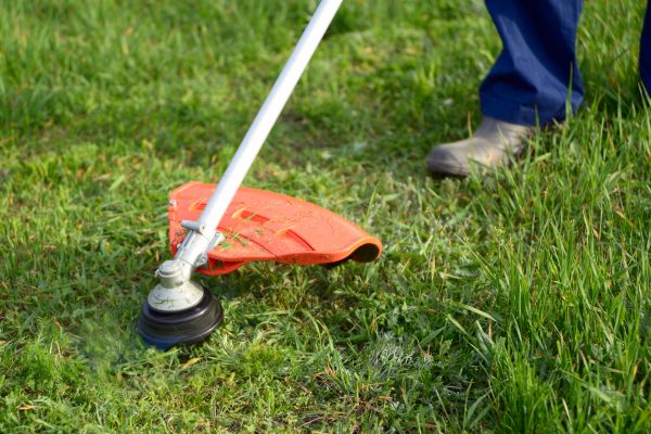 Lawn Weed Whacking in Lima