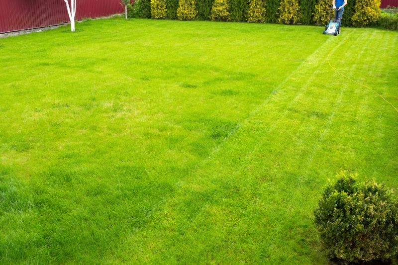 Home Lawn Maintenance